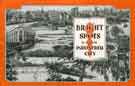 Cover of Bright Spots in a Great Industrial City