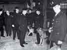 Sheffield City Police: Annual inspection, dog section