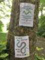 Covid-19 pandemic: Meersbrook Park's covid-19 snake