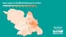 Covid-19 pandemic: Sheffield City Council graphic - new cases in Sheffield between 8 - 14 Nov 2020