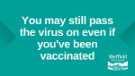 Covid-19 pandemic: Sheffield City Council graphic - you may still pass on the virus even if you've been vaccinated Covid-19 pandemic: Sheffield City Council graphic - you may still pass on the virus even if you've been vaccinated
