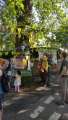 Protest against the felling of a elm tree, corner of Union Road and Chelsea Road