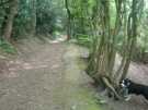 Bolehill Wood, leading from Cherry Bank Road to Cobnar Road Bolehill Wood, leading from Cherry Bank Road to Cobnar Road