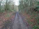 Sunken lane in Cat Lane Wood
