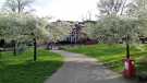 Meersbrook Park looking towards Meersbrook Park Road