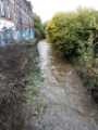 Sheaf Bank Business Park from River Sheaf Walk, looking upstream