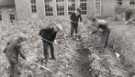 Woodthorpe School, Woodthorpe Road - gardening