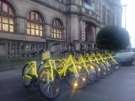Ofo bicycles outside the Town Hall
