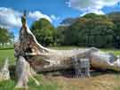 Cast iron sculpture in Graves Park, created to commemorate the much-loved &lsquo;Lone Tree&rsquo; that fell during Storm Elin in December 2023