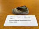 Child’s shoe found in the loft of Burnside Flat, Bradfield in 2023 Child’s shoe found in the loft of Burnside Flat, Bradfield in 2023