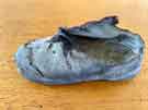 Child’s shoe found in the loft of Burnside Flat, Bradfield in 2023 Child’s shoe found in the loft of Burnside Flat, Bradfield in 2023