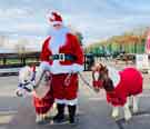 Father Christmas at Graves Park Animal Farm