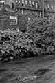 Rear of derelict William Jessop and Sons, Brightside Works prior to demolition, viewed from the walk beside the River Don (now Five Weirs Walk), Brightside