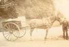 Horse drawn dray used for deliveries of produce of Nichols and Co., Wholesale Grocers and Tea, Coffee and Fruit Merchants