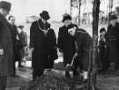 John Henry Bingham, Lord Mayor of Sheffield, 1954-1955: Tree planting ceremony, Graves Park John Henry Bingham, Lord Mayor of Sheffield, 1954-1955: Tree planting ceremony, Graves Park