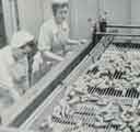 Batchelors Foods Ltd., Sheffield factory: Preparation Department - this vibrating screen automatically grades the vegetables according to size, [Limestone Cottage Lane], Sheffield