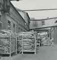 Batchelors Foods Ltd., Sheffield Factory. Thousands of sturdy sticks of rhubarb 'palletized' on reaching the Sheffield factory, [Limestone Cottage Lane, Wadsley Bridge]