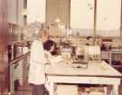 View: h00522 Laboratory, Royal Hospital, West Street
