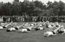 Ladies physical training routine at a Sheffield hospital sports day Ladies physical training routine at a Sheffield hospital sports day