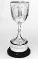 Chairmans' Cup, Royal Hallamshire Hospital Chairmans' Cup, Royal Hallamshire Hospital