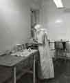 Nurse with mask measuring milk for feeding bottles at a Sheffield hospital Nurse with mask measuring milk for feeding bottles at a Sheffield hospital