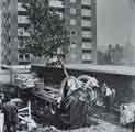Machine that can lift and transplanting trees being used in Liverpool