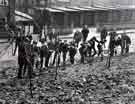 School pupils tree planting in unidentified location