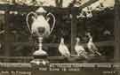 Parkinson and Atkin, All England (Pigeon) Championship winners, 1912