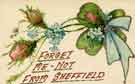 Forget me not from Sheffield