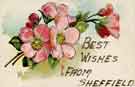 Best Wishes from Sheffield