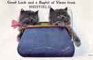 Good luck and a bagful of views from Sheffield - novelty postcard