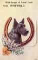With heaps of good luck from Sheffield - novelty postcard