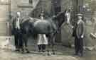 The horse 'Caesar' owned by Mr Bill Conren at the blacksmith's forge, Fulwood