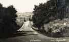 Possibly Hurlfield Hill or Hollinsend Road (latterly Gleadless Road)