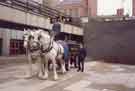 Horse drawn dray outside the Student Union Building, University of Sheffield, Western Bank Horse drawn dray outside the Student Union Building, University of Sheffield, Western Bank