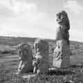 Stone carvings by Andrew Vickers