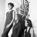 Erte Hair, No. 625a Ecclesall Road Erte Hair, No. 625a Ecclesall Road