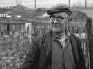 Man at allotments at Tinsley Man at allotments at Tinsley