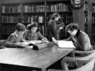 View: s46596 Children reading in the Central Lending Library during school instruction
