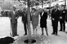 Planting of a tree outside the Town Hall, Pinstone Street by Prince Charles, c.1998