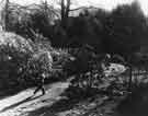 Children playing in [the Botanical Gardens?]