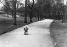 Child on tricycle, Endcliffe Park Child on tricycle, Endcliffe Park