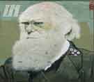 Sheffield Photographic Society Collection: Charles Darwin mural by Rocket01, Sidney Street Sheffield Photographic Society Collection: Charles Darwin mural by Rocket01, Sidney Street