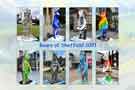 Sheffield Photographic Society Collection: Bears of Sheffield, 2021