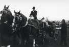 View: sycc00061 South Yorkshire County Council (SYCC): Pageant of the Horse, c.1977