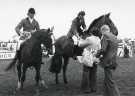 View: sycc00110 South Yorkshire County Council (SYCC): Pageant of the Horse, c.1977 