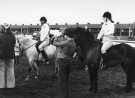 View: sycc00113 South Yorkshire County Council (SYCC): Pageant of the Horse, c.1977 