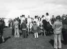 View: sycc00114 South Yorkshire County Council (SYCC): Pageant of the Horse, c.1977 