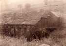 View: t11930 Possibly derelict waterwheels, Mousehole Forge, Rivelin Valley, Rivelin