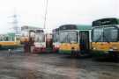 Yorkshire Terrier Bus Co. buses awaiting repair or scrapping at Holbrook Depot, Rother Valley Way